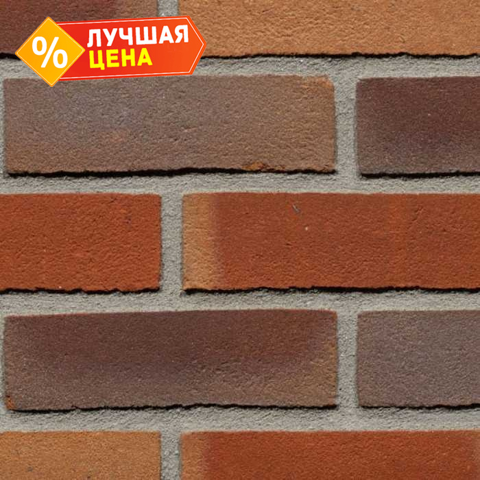 Кирпич облицовочный Terca Aardenrood Gereduceerd Fantasy, 215х102х65 мм