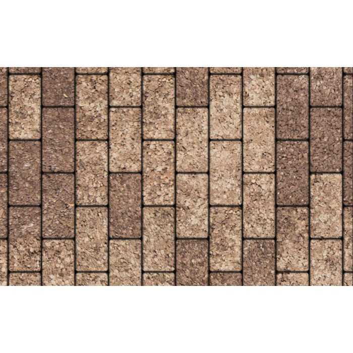 Плитка тротуарная Прямоугольник (Ла-Линия) А.2.П.4 Листопад гранит Хаски 200х100х40 мм